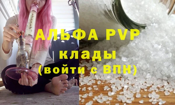 ECSTASY Вязьма